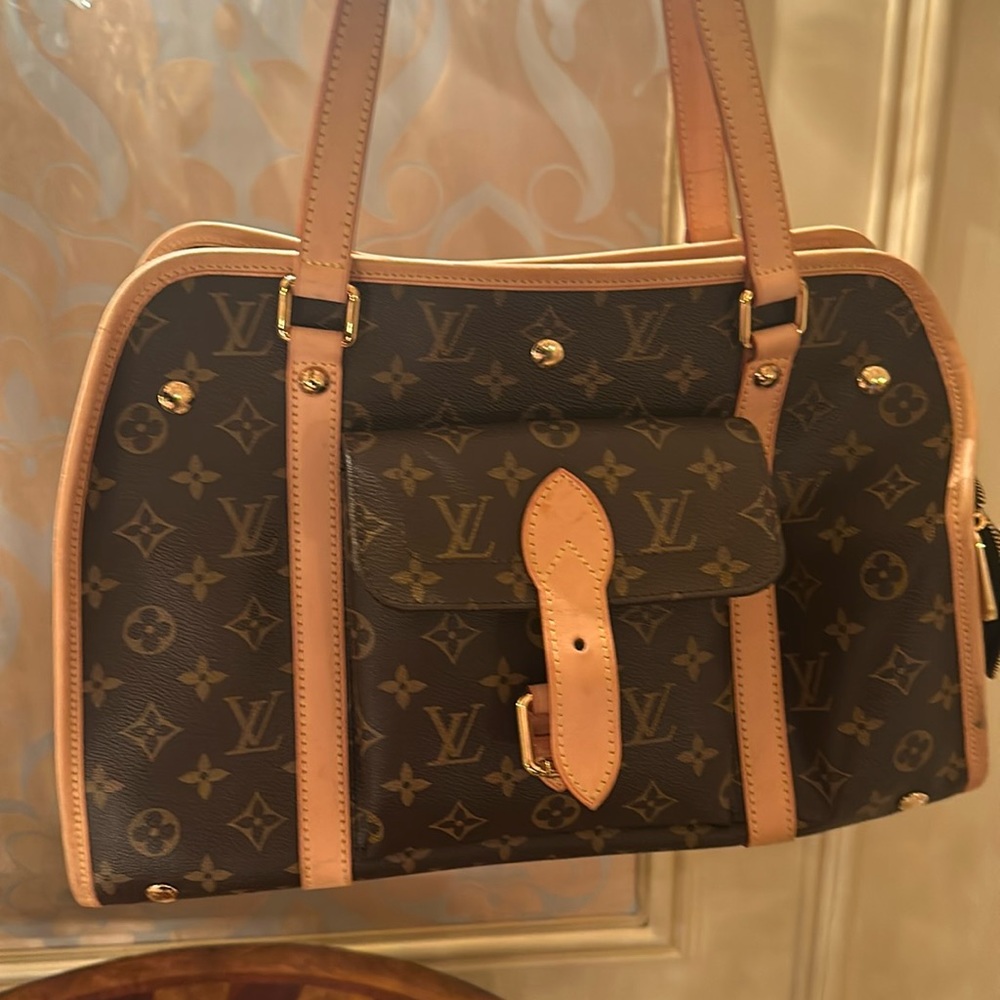 Louis Vuitton Dog Carrier